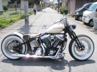 FLSTC CUSTOM