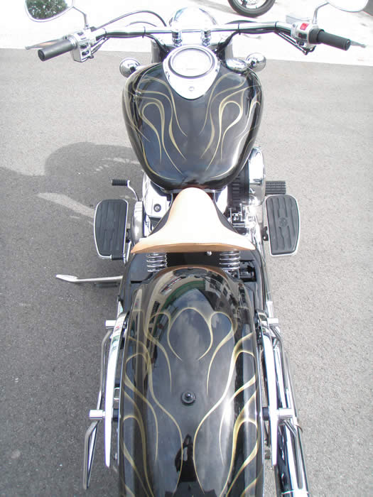 DS1100　カスタム